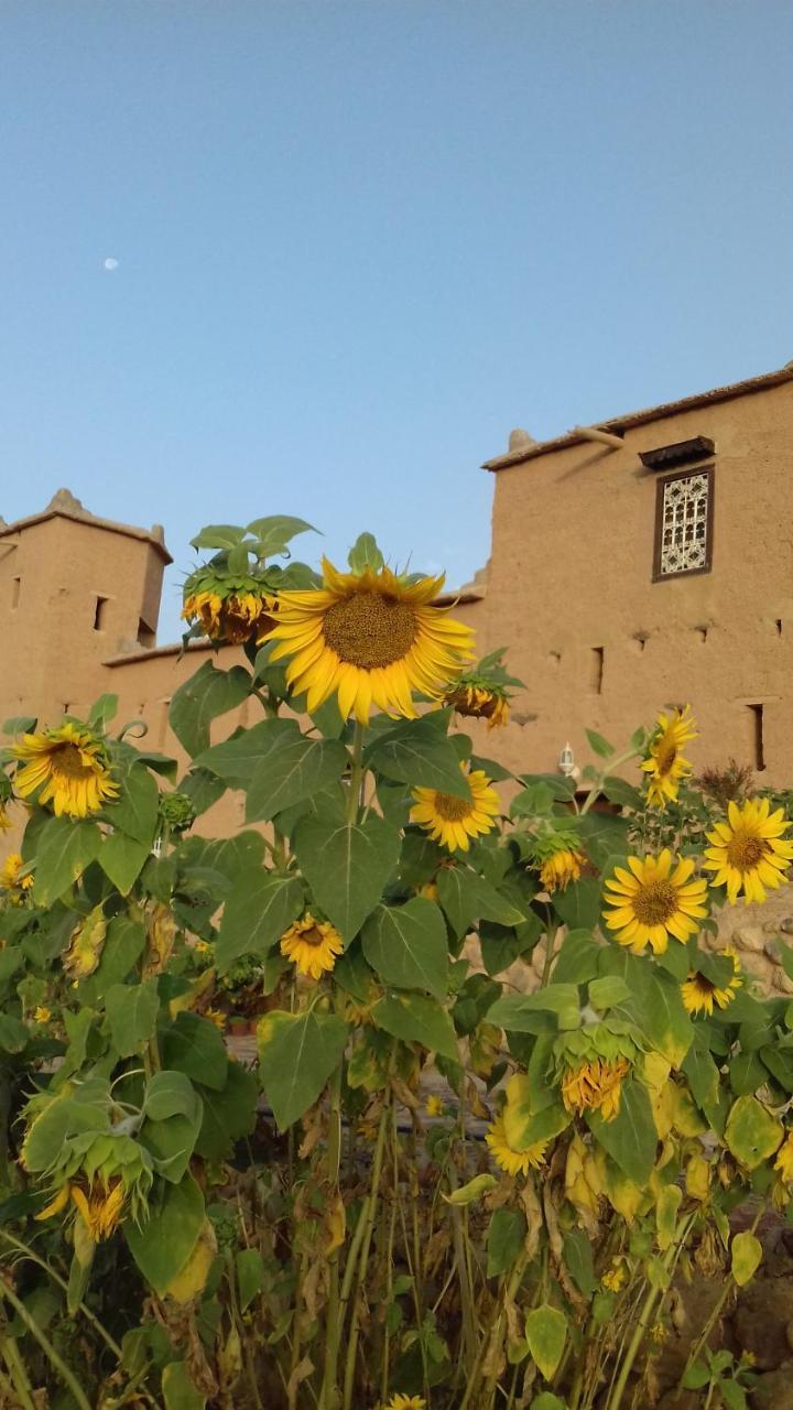 Hotel Kasbah Izoran Midelt Exteriér fotografie