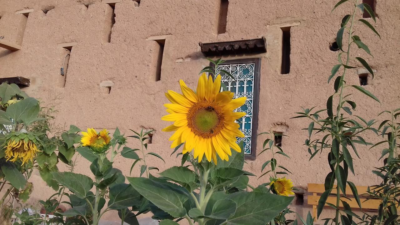 Hotel Kasbah Izoran Midelt Exteriér fotografie