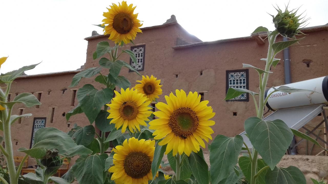 Hotel Kasbah Izoran Midelt Exteriér fotografie